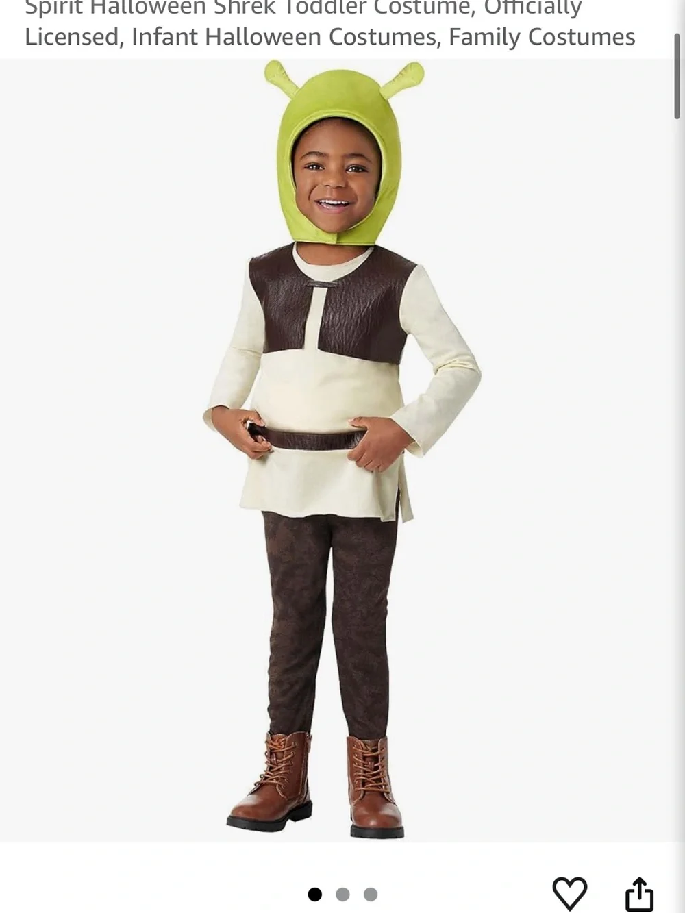 Kids Shrek costume